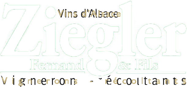 Visite de cave et dégustation de vin d'Alsace Hunawihr Domaine Ziegler